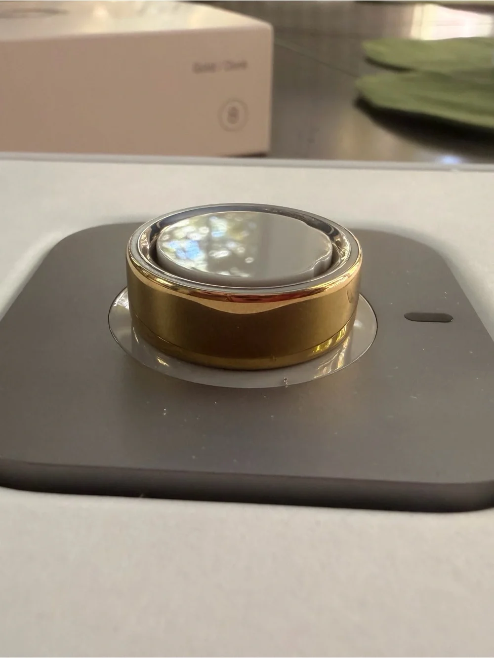 Oura Ring 4 - Gold - Size 8